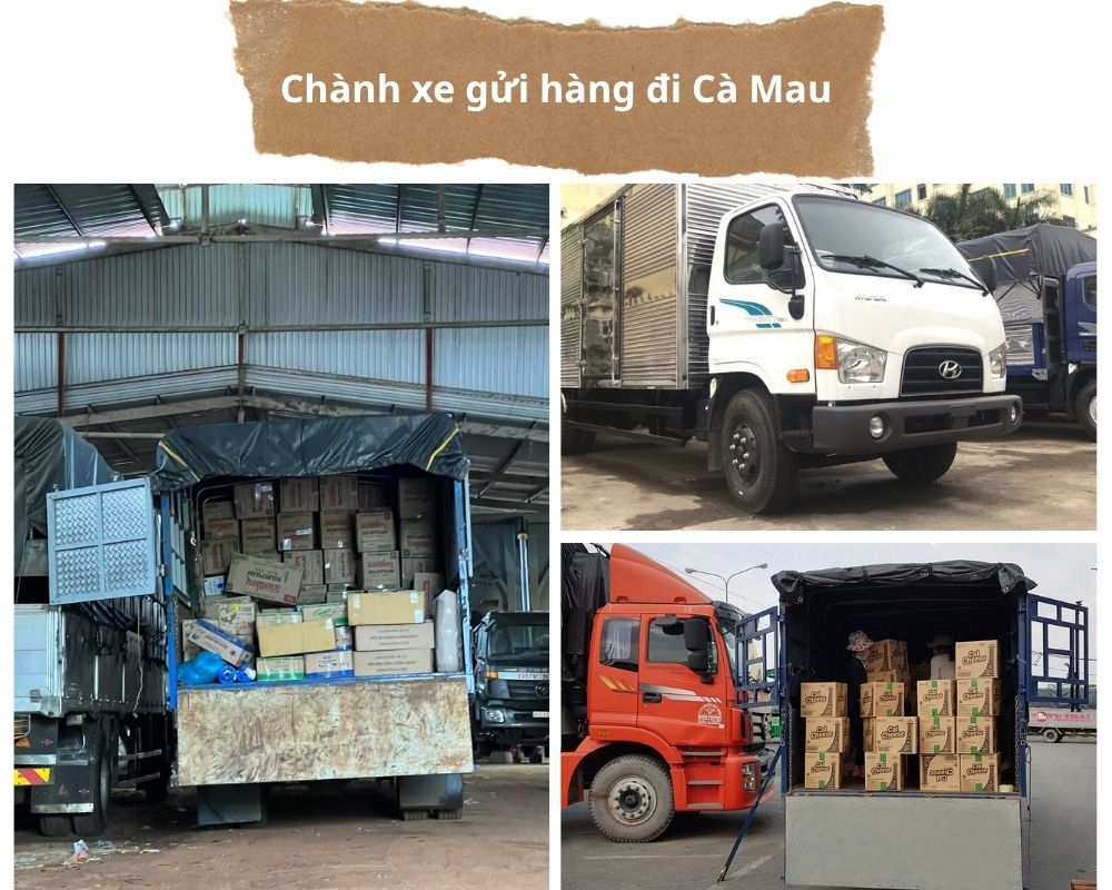 Cung cấp đa dạng các loại xe tải gửi hàng đi Cà Mau